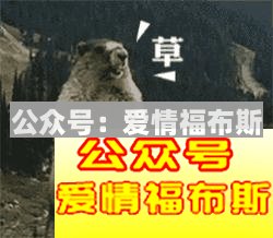 男人应该先拼事业还是先陪女友?第1张